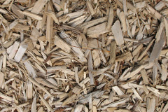 biomass boilers Angerton
